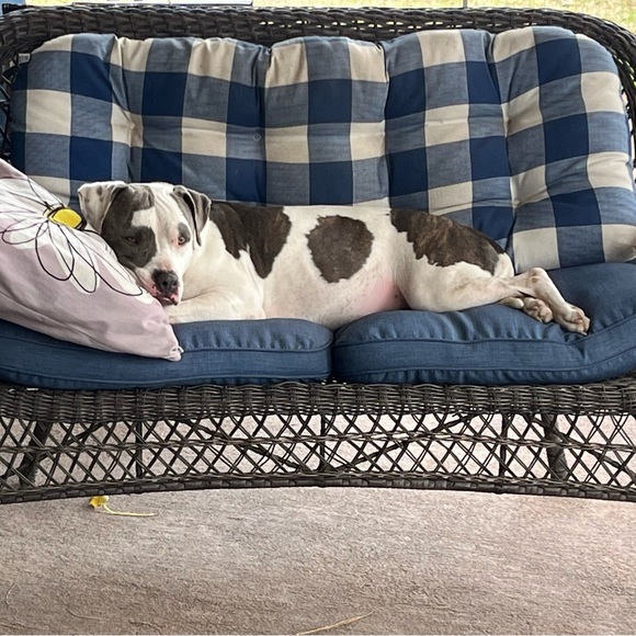 Meet your Posher, Brandi - Picture 8 of 9